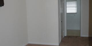 Perfect 4 Bedroom, 2 Bathroom House -- Walk to UF! Gallery 11