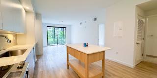 Caroline at Golden Glades Gallery 37