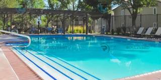 1/2 Month Free!! Indulge in comfortable living at Wood Chase Condos! Gallery 8