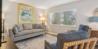 Buena Vista Gallery 54