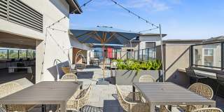 The Braydon Gallery 52