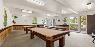 3054 Rue Dorleans Gallery 38