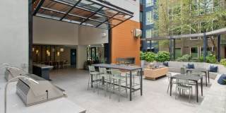 Avalon Dogpatch Gallery 23