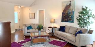 3668 Cindy Jo South - Fully Furnished Gallery 5