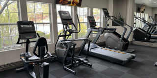 Canyon Vista Gallery 11