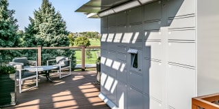Tiburon View Gallery 21