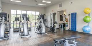 Ironwood at Happy Valley Gallery 7