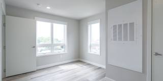 Solo on Chestnut Gallery 24