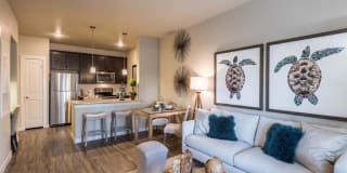 Century Palm Bluff Gallery 31