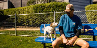 Renew on Summerfield Gallery 21