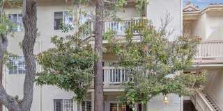 631 Oak Run Trl Unit 203 631 Oak Run Trl Unit 203 Gallery 1