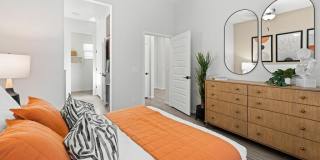 Canopy at Sundance Gallery 50