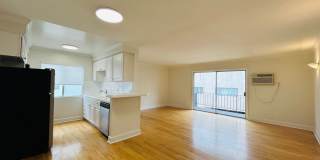 vet182 Gallery 2