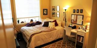 New 5 Bed 5 Bath Home on Harrison Gallery 1
