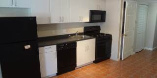 1015 Hollins Street Gallery 3