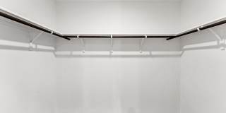 332 Elephants Ear Gallery 14