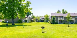 Chalet Apartments Gallery 9