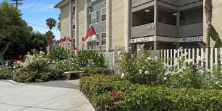 Asana at North Park Gallery 1