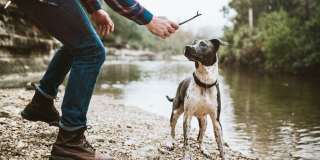 Windsor Lantana Hills Gallery 33