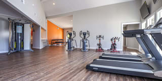 Palmetto Grove Palmetto Grove Gallery 8