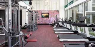 Broadstone Edition Gallery 21