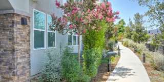 Vela Apartments Gallery 91