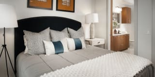 The Driscoll at River Oaks Gallery 25