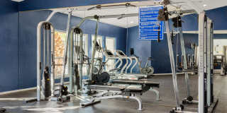 Cielo on Gilbert Gallery 27