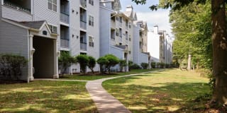 Town Walk at Hamden Hills Gallery 48