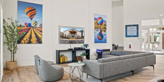 Meritum Evergreen Gallery 25