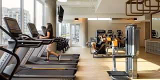 The Ivey on Boren The Ivey on Boren Gallery 15