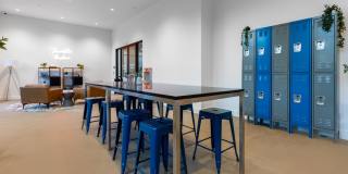 Alexan Main Street Gallery 74