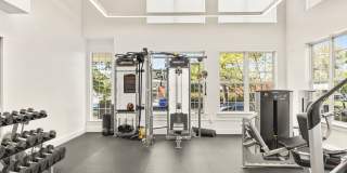 Chestnut Hill Village Gallery 40