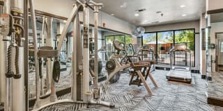 Trinity Bluff & District Urban Apartments Gallery 45