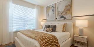 Isla Palmetto Gallery 2