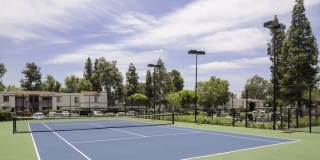 Breve Park Gallery 24