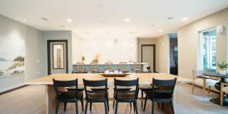 Alvante at Grand National Gallery 4