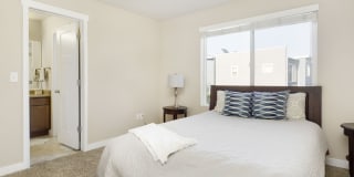 Olympus at The District Gallery 3