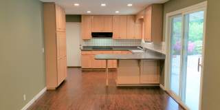 29 Thorndale Place Gallery 3