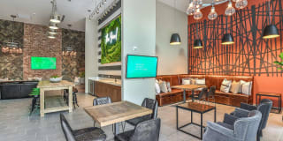 The Yard at Ivanhoe Gallery 21