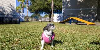 Lanier Landing Gallery 31