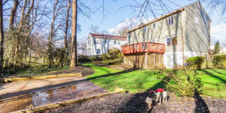 4 Bed 3.5 Bath - Derwood Colonial - Finished Basement Gallery 31