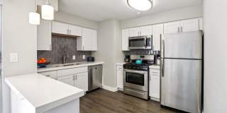 The Ashley Gallery 8