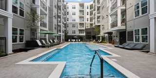 The Scottie Gallery 1