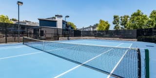 Aliso Creek Gallery 14