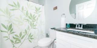 The Hamilton Gallery 19