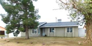 8260 Viburnum Gallery 1