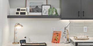 Navona Gallery 62