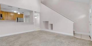 3397 Sawtooth Drive Gallery 8