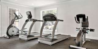 Bristol Grapevine Gallery 18